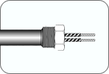 NPT Bushing